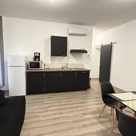F2 Meuble Avec Balcon, Clim, Wifi, Animaux Admis - 50m Des Thermes - Fr-1-703-198