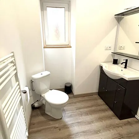 F2 Meuble Avec Balcon, Clim, Wifi, Animaux Admis - 50m Des Thermes - Fr-1-703-198 Apartment Amelie-les-Bains-Palalda